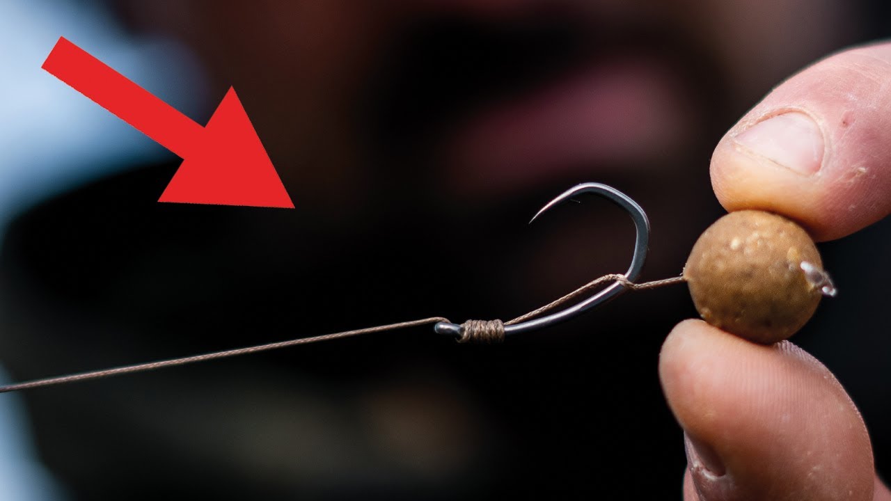 Das beste Rig zum Karpfen Angeln I FreestyleRig Tutorial