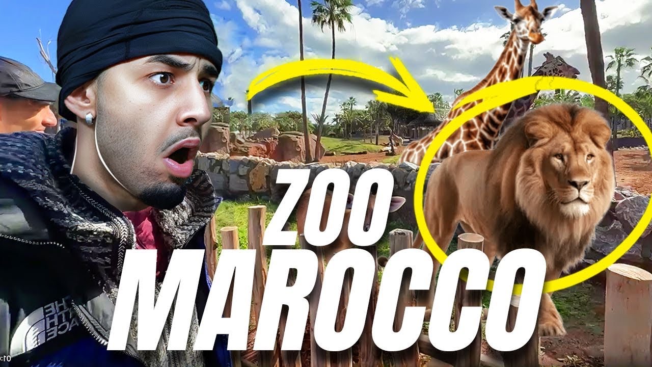 CHI VINCEREBBE TRA SSJREDA E UN GORILLA? 😭 | SsjReda Viaggia in Marocco 🇲🇦
