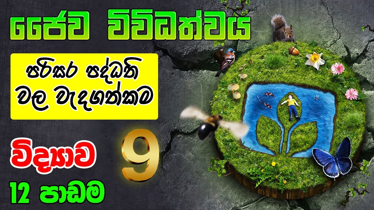 9 විද්‍යාව - ජෛව විවිධත්වය (12 පාඩම ) - Grade 9 Science