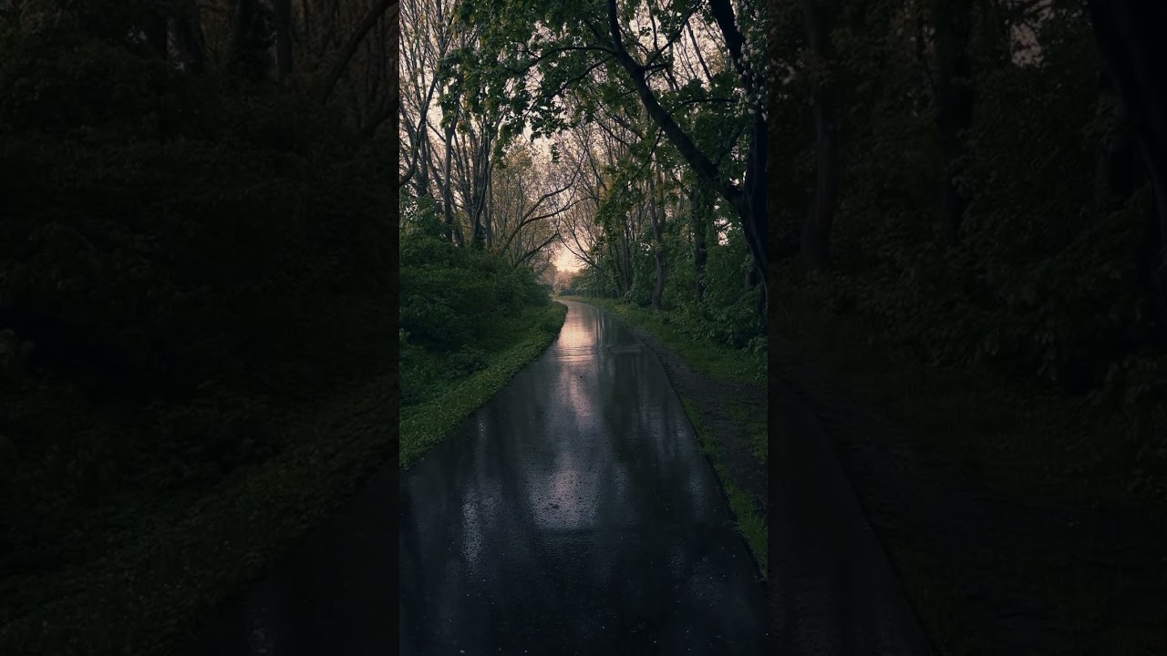 Soft Night Rain | No City Noise ASMR Live