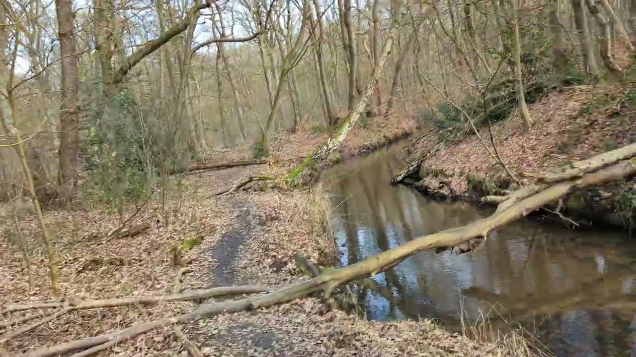 Marl - Naturschutzgebiet Burg Teil 1