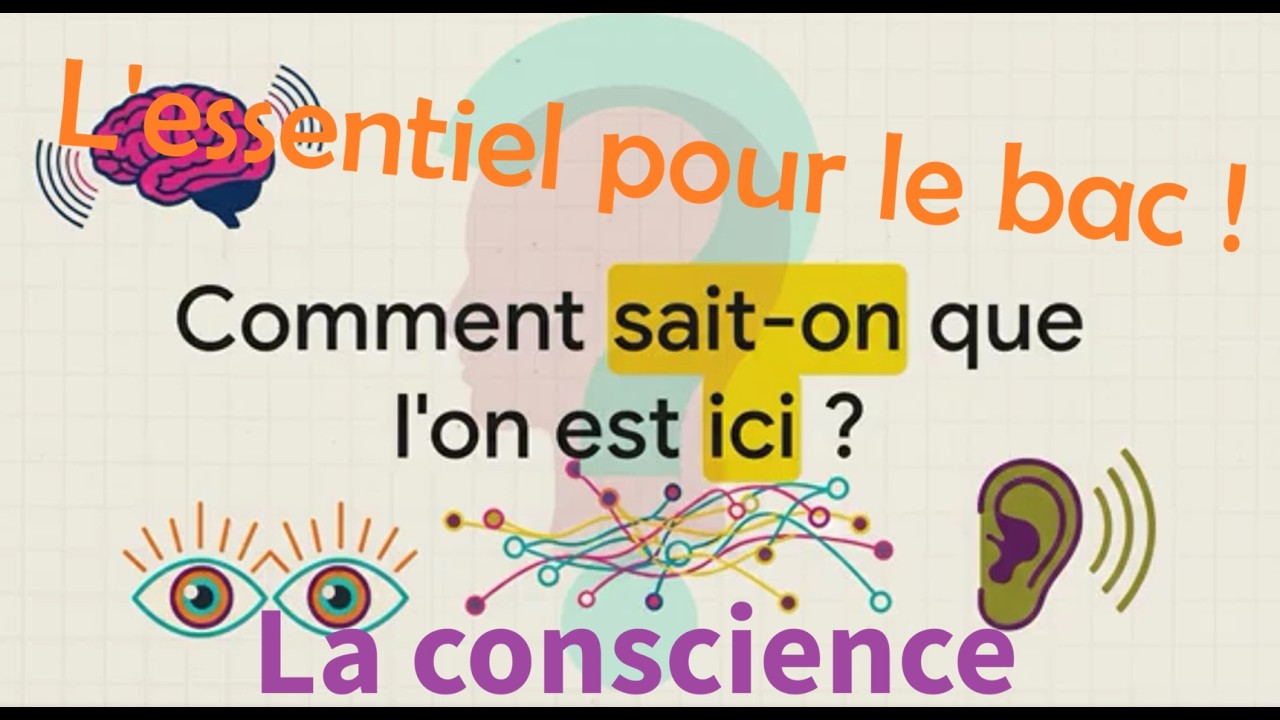 Bac de philo : La Conscience 🧠 Fiche de révision #bacdephilosophie #conscience #terminale