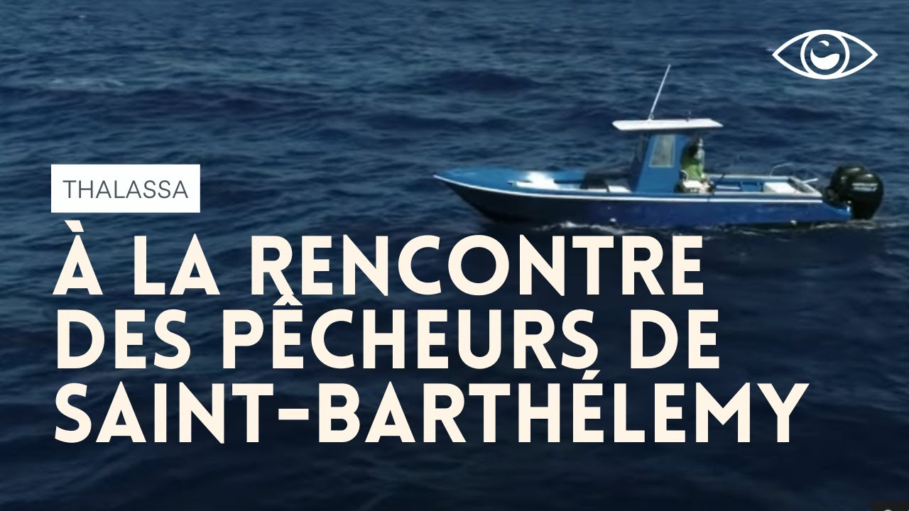 À la rencontre des pêcheurs de Saint-Barthélemy - Thalassa