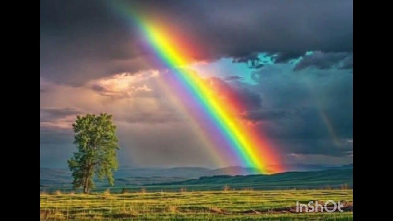 ADONAI - Uwielbiam Cię