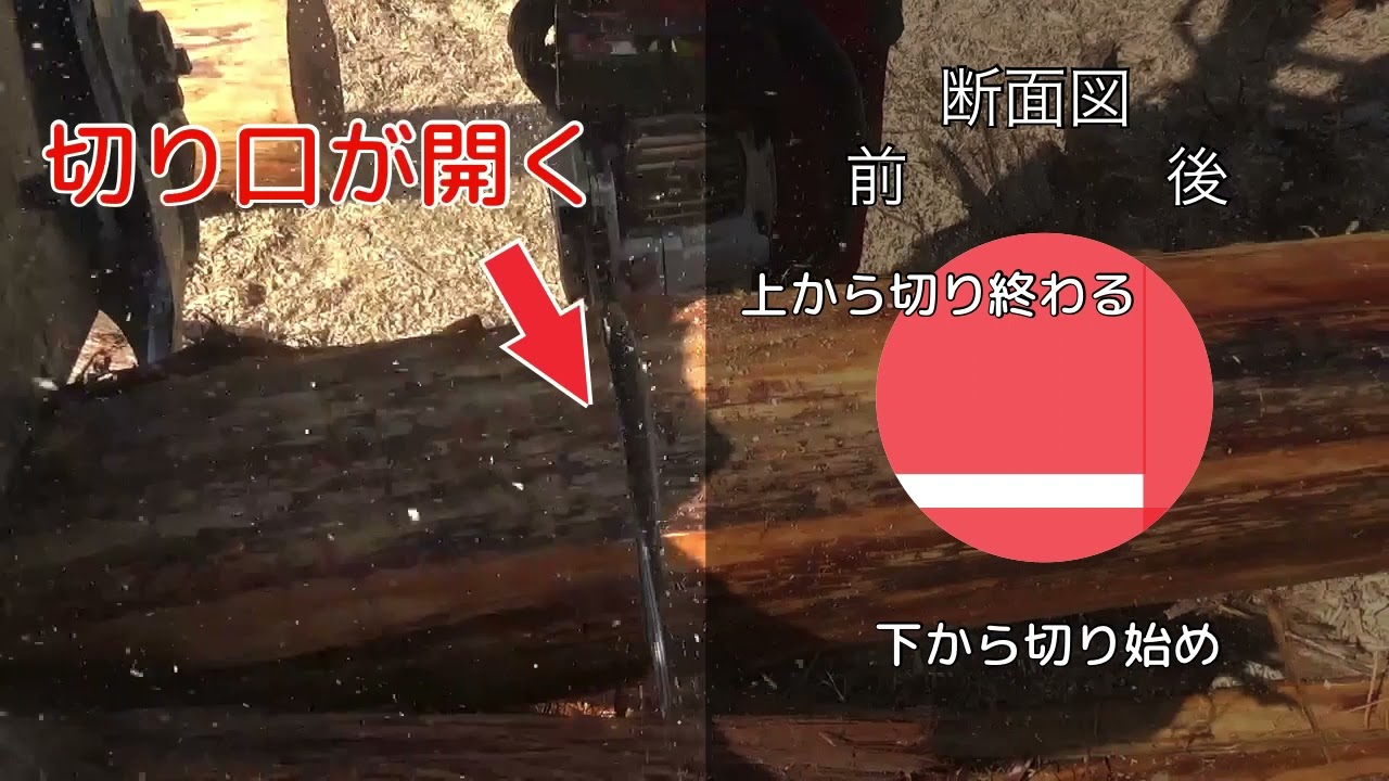 造材トレーニング 片持ちと両持ち材の切り方