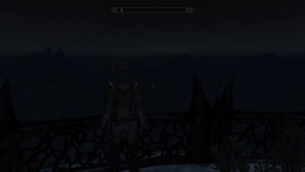 Skyrim