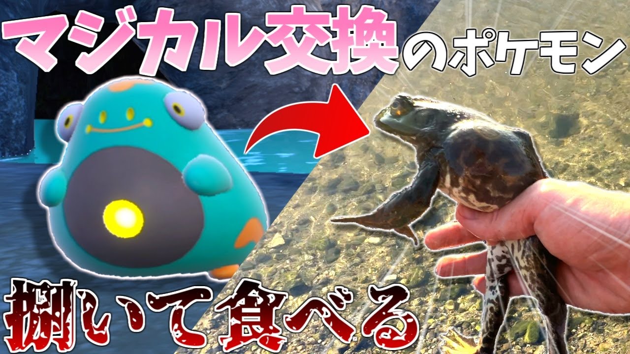 交換したポケモン食べる企画で現地調達祭り始まったｗｗｗ【ポケモンsv】