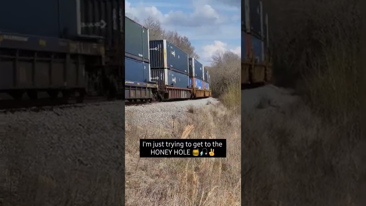 Ran Into A Small Delay! #shorts #train #fishing