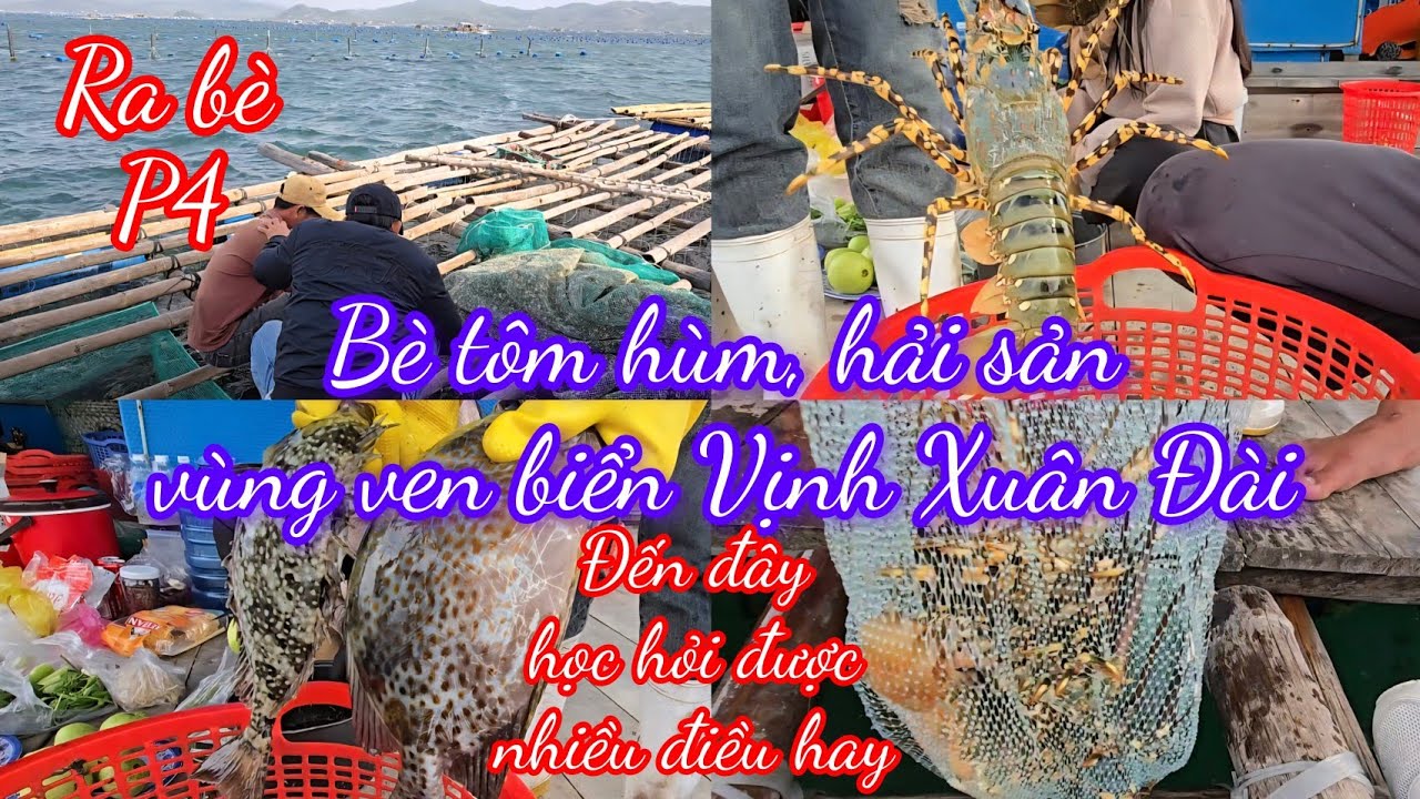 Ra Bè học hỏi được nhiều điều từ người dân nuôi tôm hùm, hải sản vùng ven biển Vịnh Xuân Đài #p4