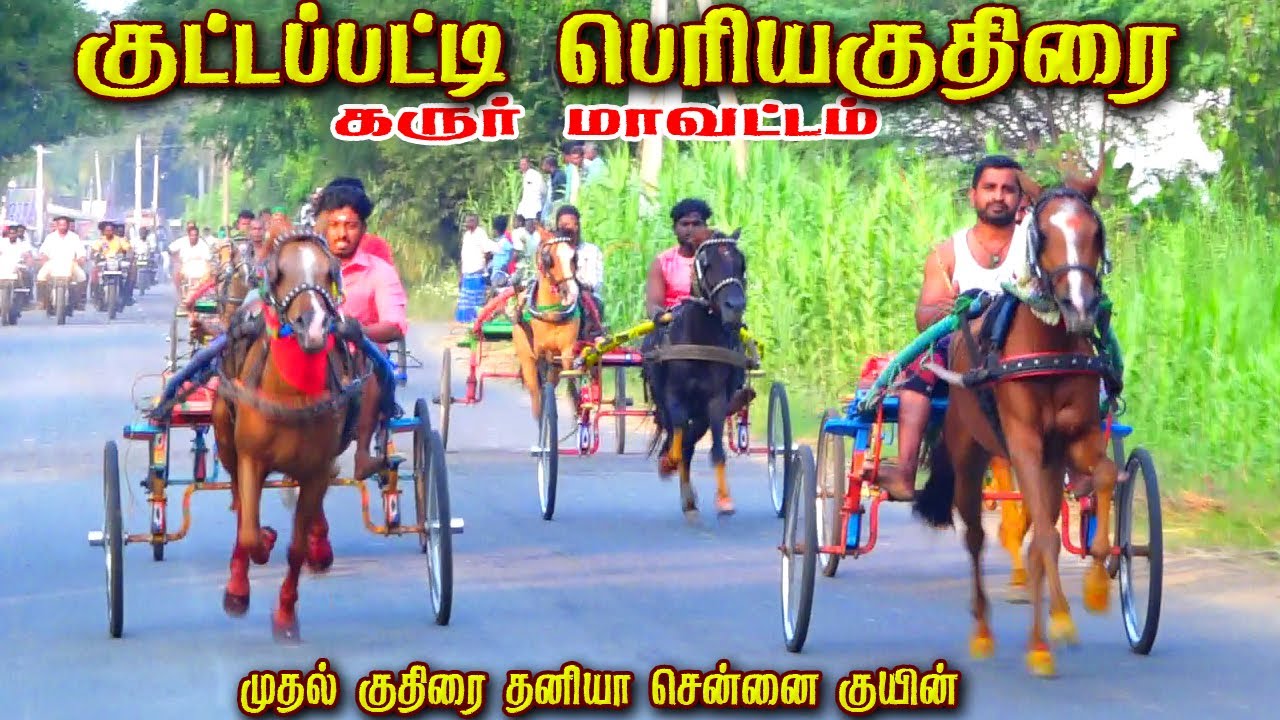 2குளித்தலை குட்டப்பட்டி 25,000 அயிரம் பெரியகுதிரை பந்தயம் 09,02,2025