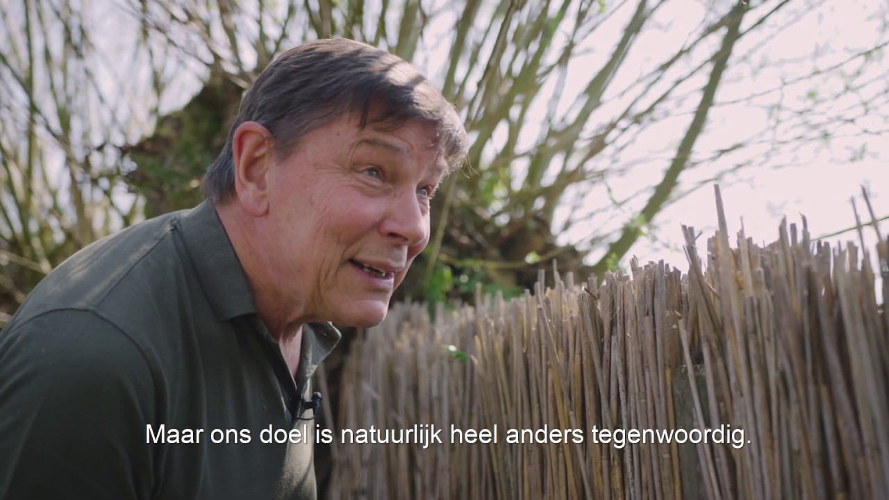 Eendenkooi Klein Profijt