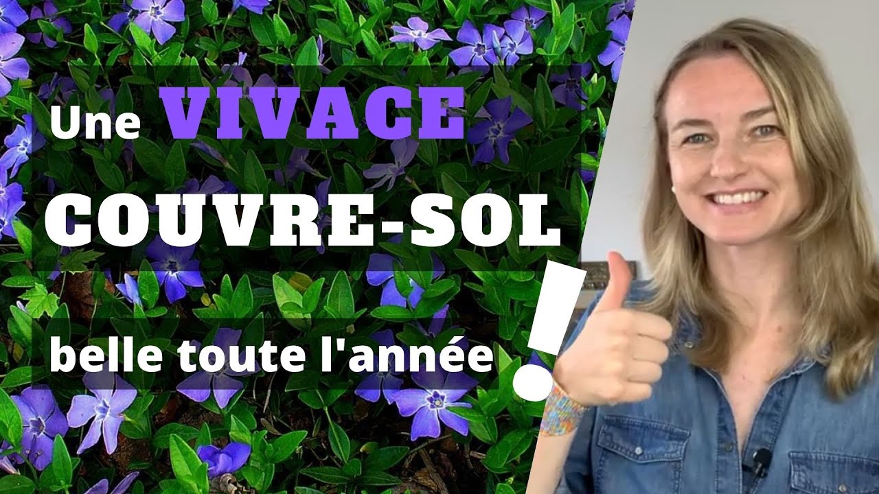 Une vivace COUVRE-SOL belle toute l'année !