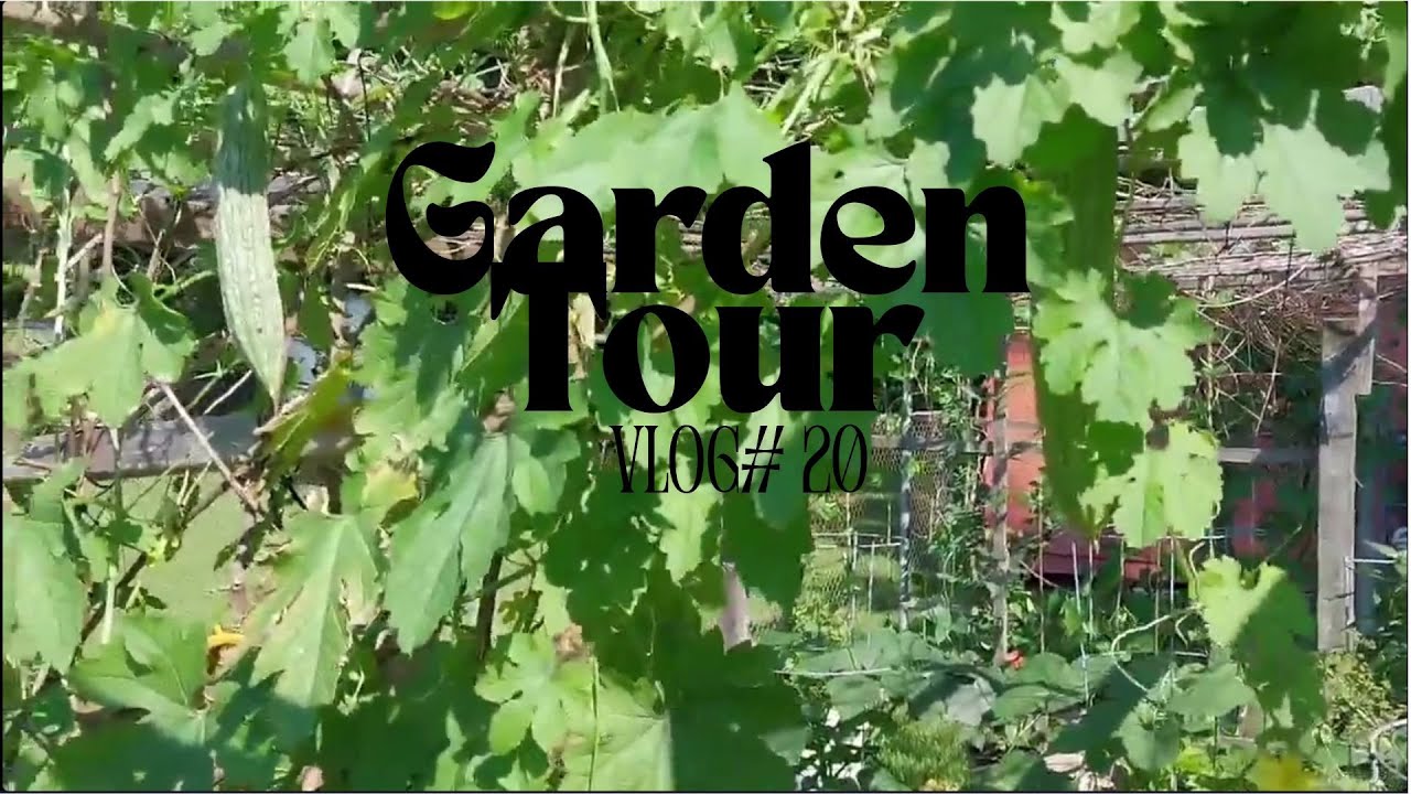 Vlog #20   Garden Tour
