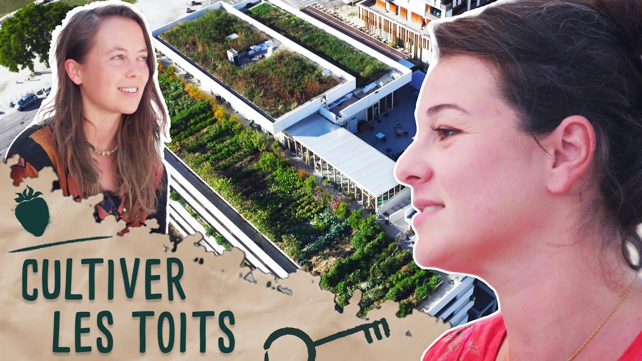 CULTIVER LES TOITS - Les Clés de la Transition Alimentaire, épisode 8