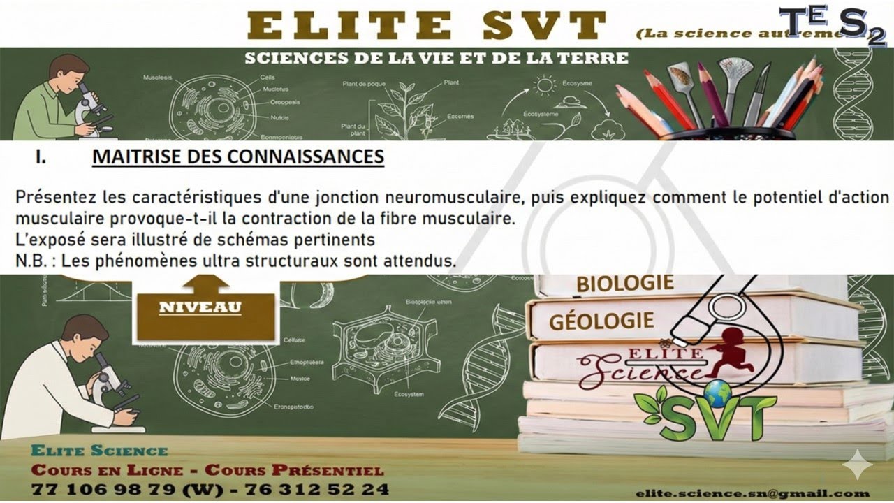🧬 SVT : ACTIVITE MUSCLE (Correction Exo 1 Epreuve Marathon) - Tle S2 |
