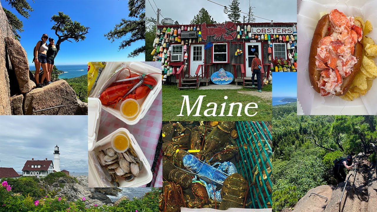 My first time in Maine ft. epic hikes, a blue lobster, and freezing swims