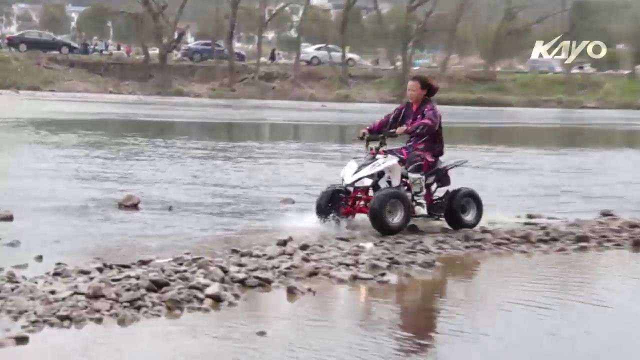 Quad ATV ( Predator 110 )