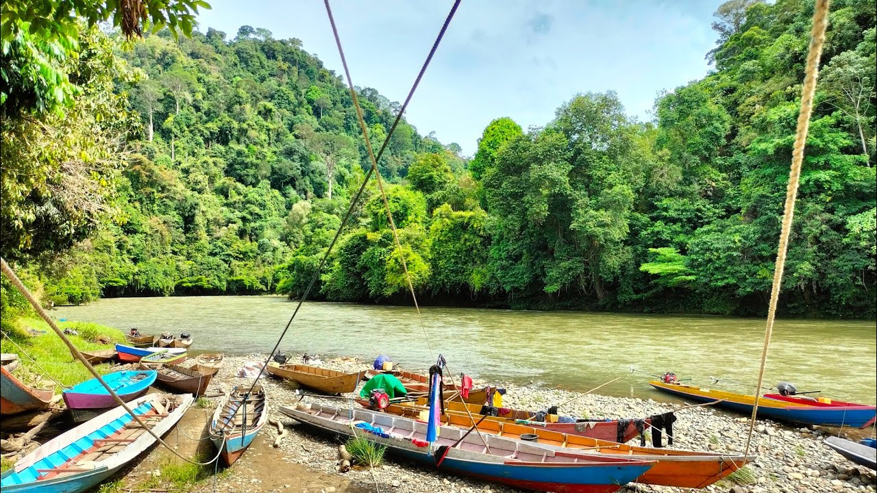 kampung Punan long suluy rimba