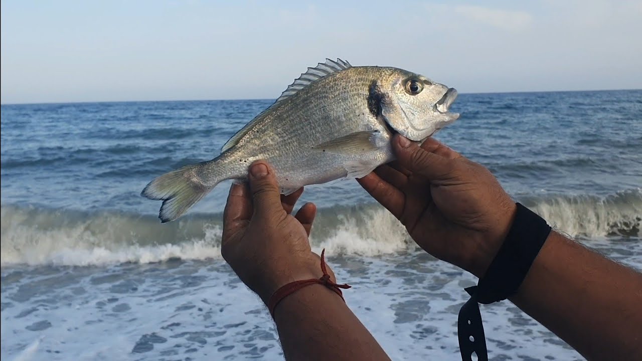 SURFCASTING en GRANADA playa del POZUELO