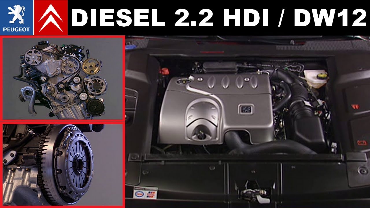 Презентация двигателя 2.2 HDi DW12 TED4