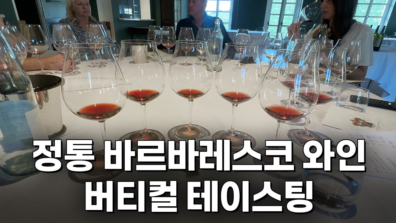 가야(Gaja) 다음으로  강추하는 바르바레스코 와인: 마르케시 디 그레시(Marchesi di Grésy) 와이너리 투어