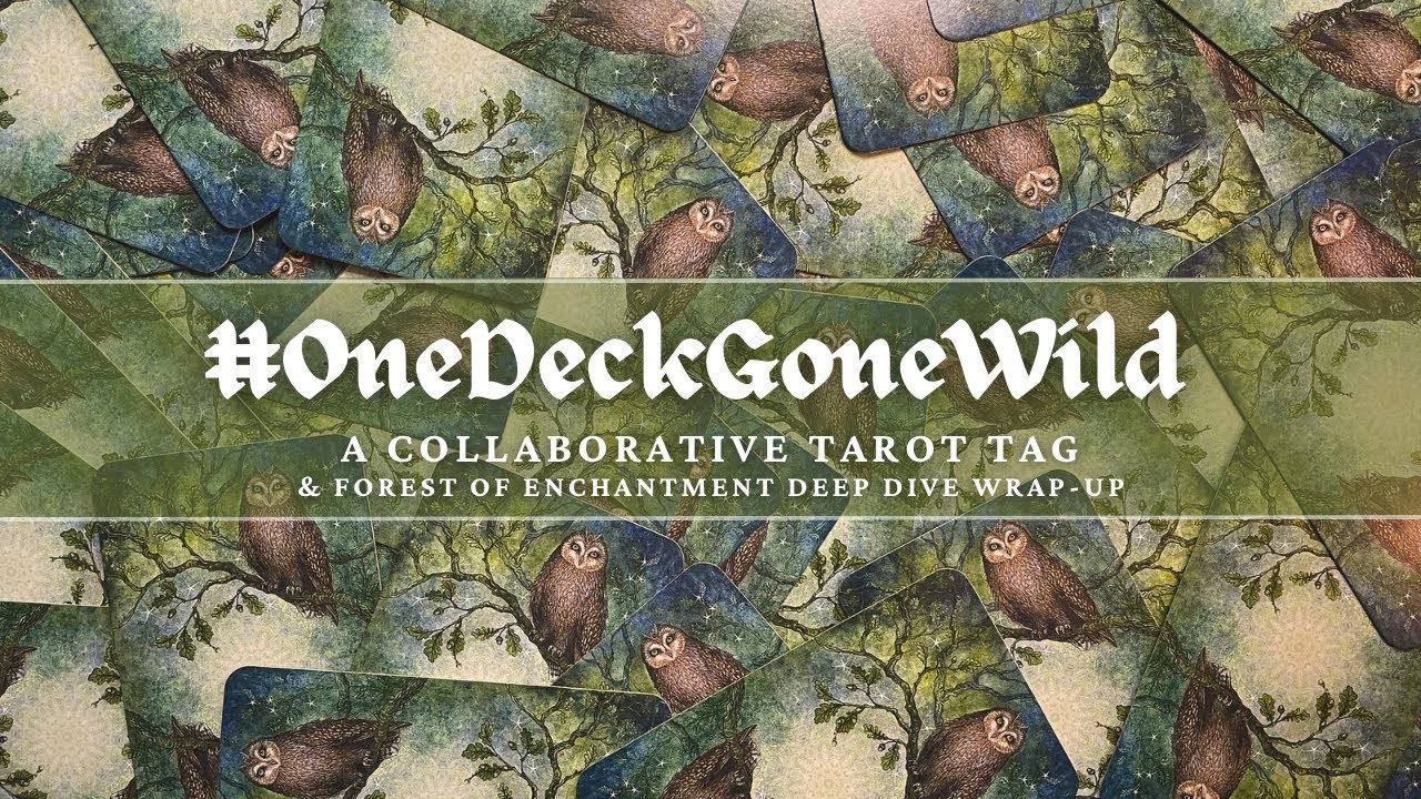 #OneDeckGoneWild - A collaborative tarot tag | The Forest of Enchantment deep dive wrap-up!