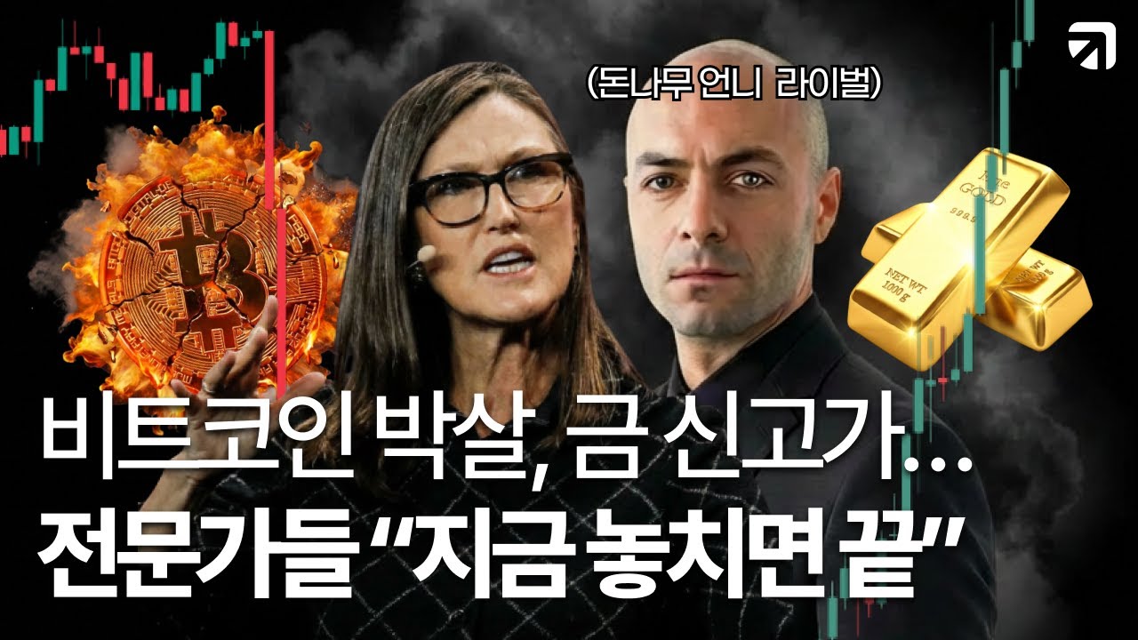 [1부] 비트코인, 금 ETF 살까 말까 고민중이면 클릭 | 또 당한다 vs 지금이 기회다 | 연배당 BTGD | Quantify Funds CEO 데이비드 자간스키