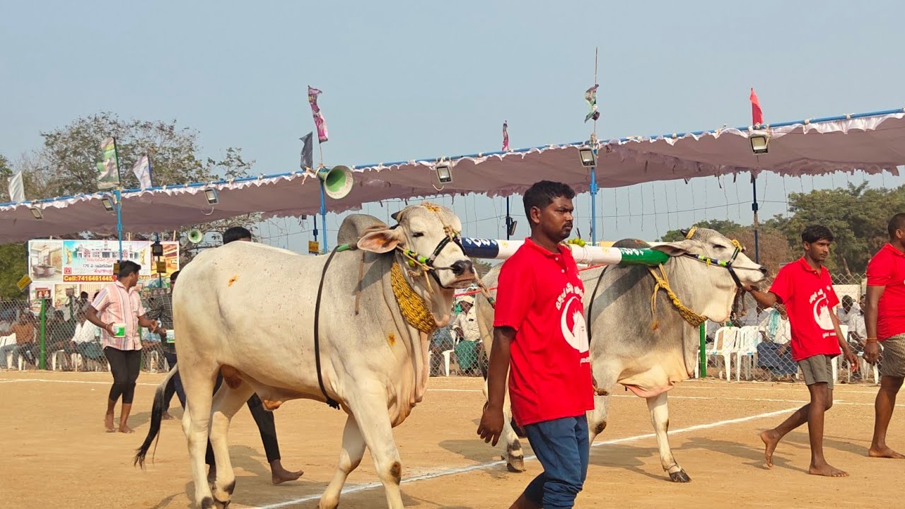 రెంటచింతల 2 పళ్ళు 8వ మాగులూరి.పవన్ దీప్ రెడ్డి గారు Comind కొల్లిపర. నాని గారు 