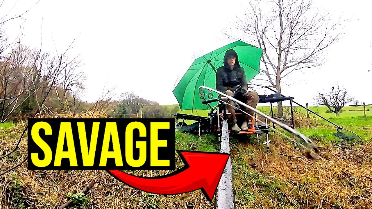 WYE BARBEL ARE SAVAGE -DAY 20