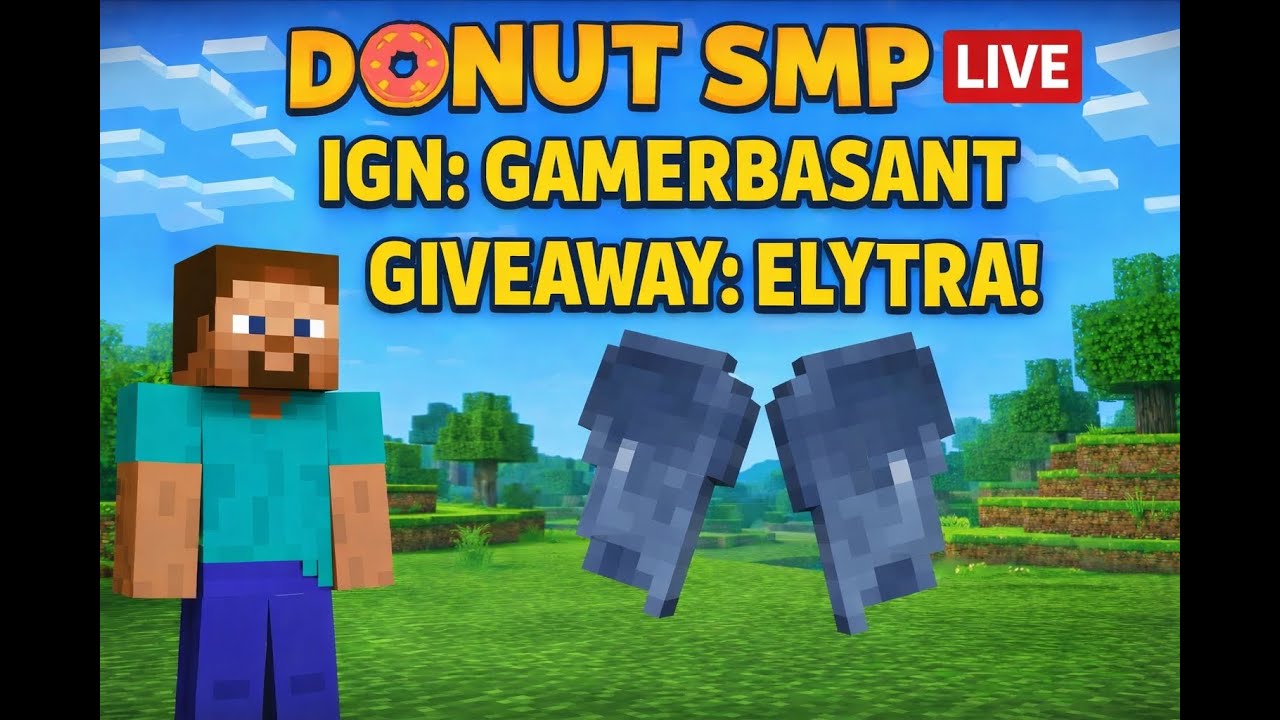 Donut Smp Live Elytra Giveaway Rating Base Trading For Elytra 50+ Elytra I Have