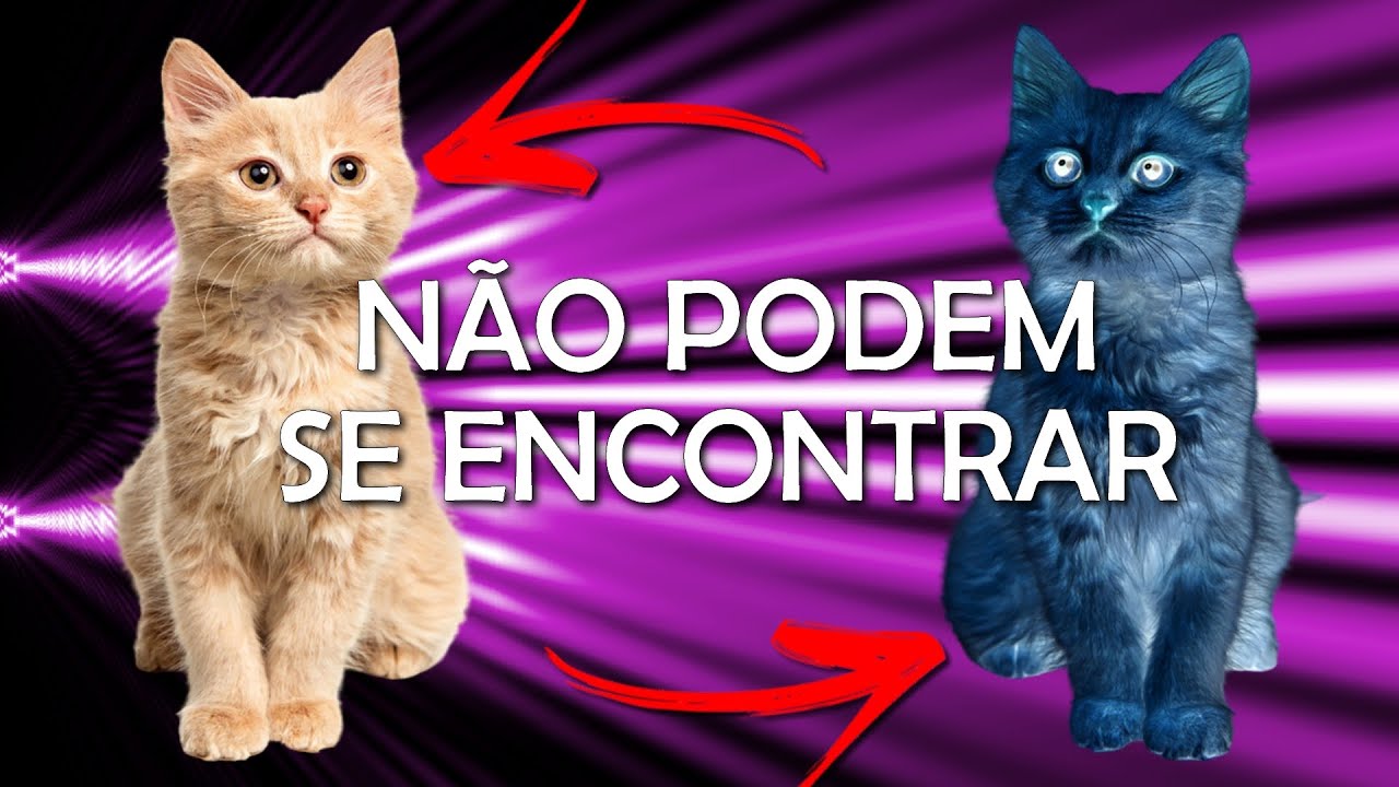 O PARADOXO DE HARDY | Experimento Quântico da Dupla Fenda Dupla!