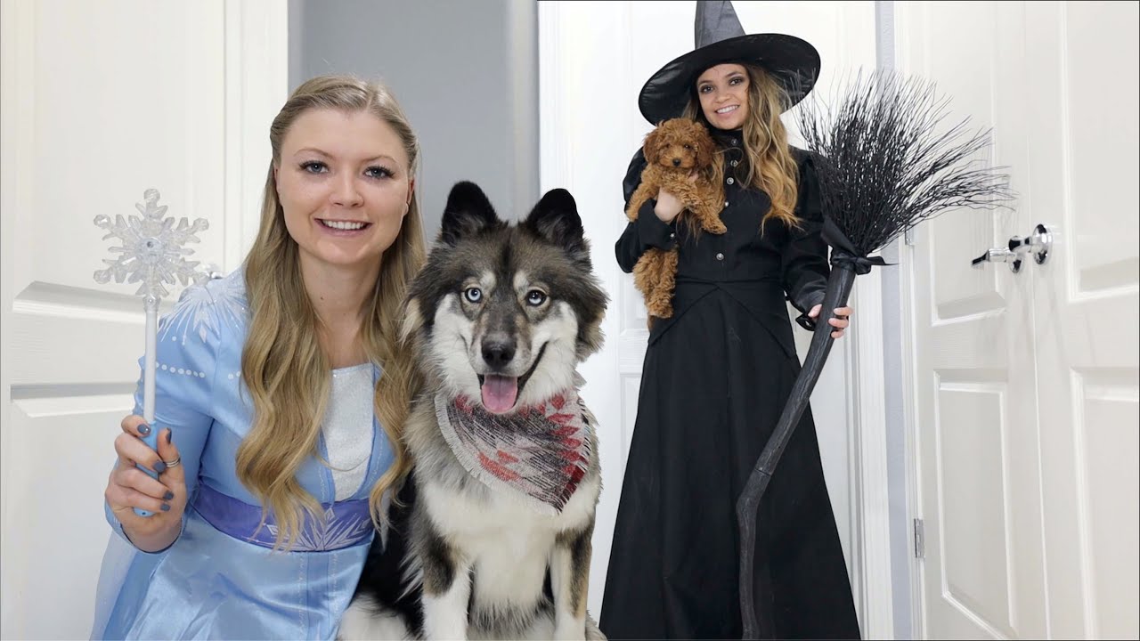 Wicked Witch Uses Pretend Play Magic On Kakoa The Puppy!