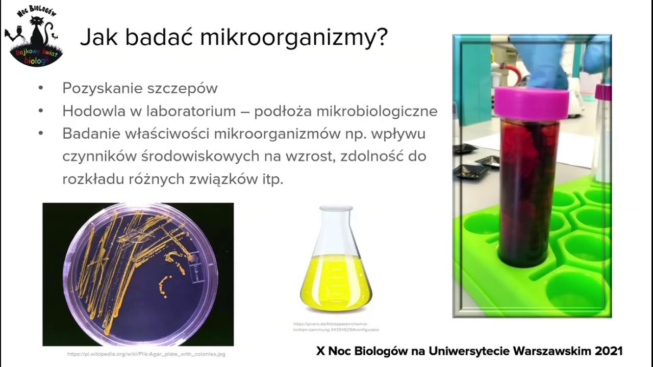 Odcienie mikrobiologii