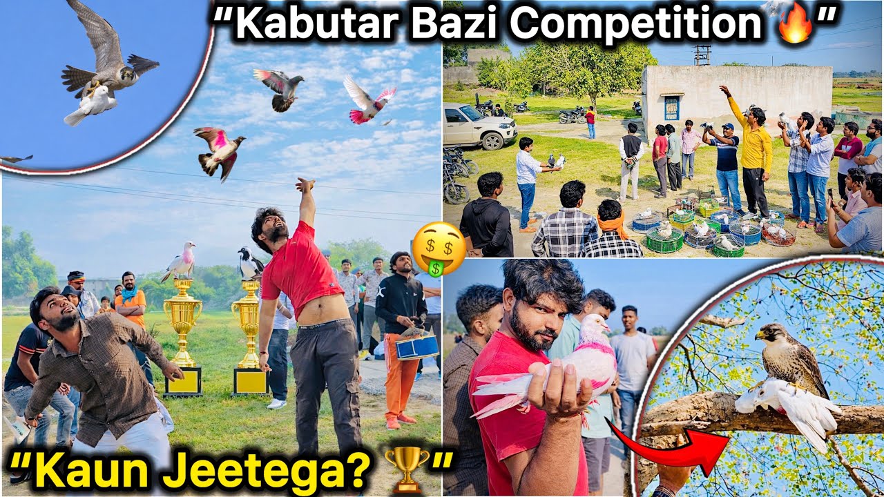 &ldquo;1st Kabutar Tournament Udaya!&rdquo; 🤑|| Bazi se Falcon 🦅 Pakd kr legaya kabutar 😭