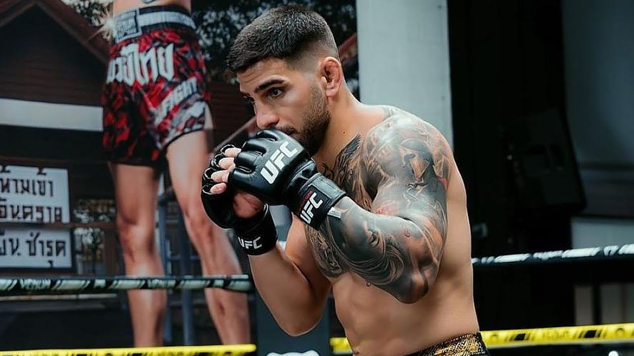 ILIA TOPURIA Destroys SPARRING PARTNERS