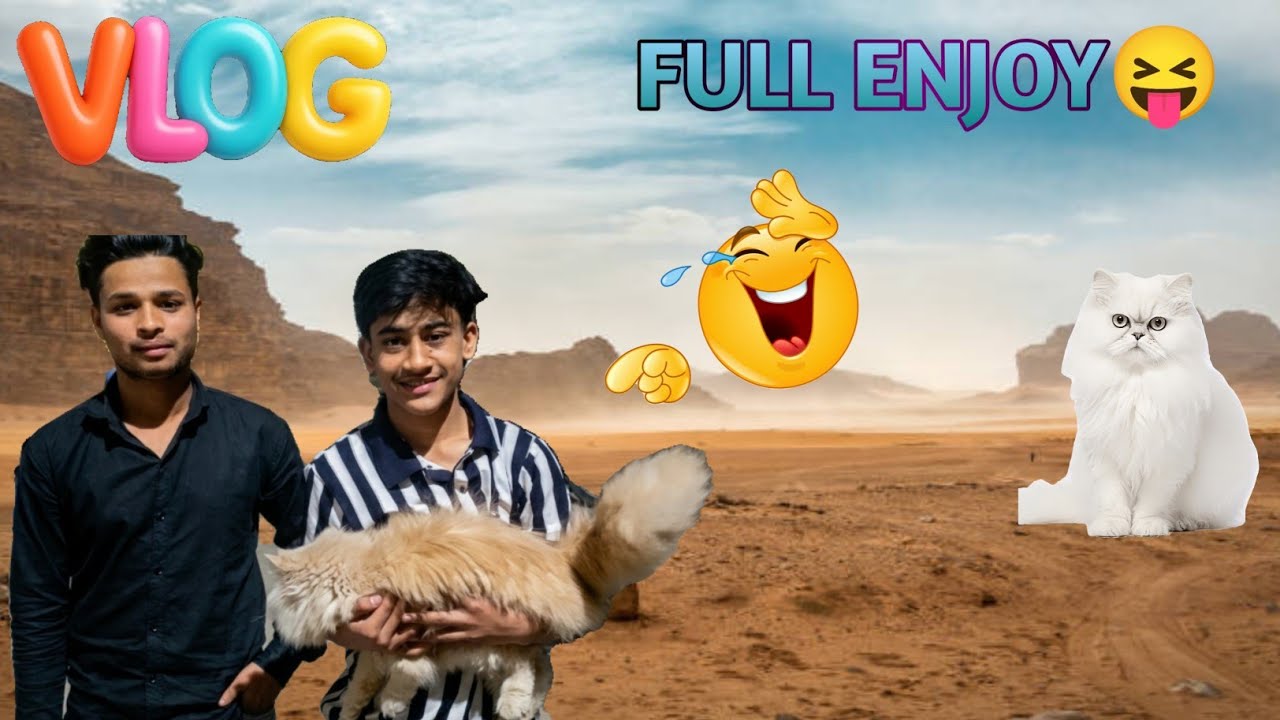😛Today Day Was Enjoyable 😅 || Persian Cat | #vlog #viral #trending #travelvlog 