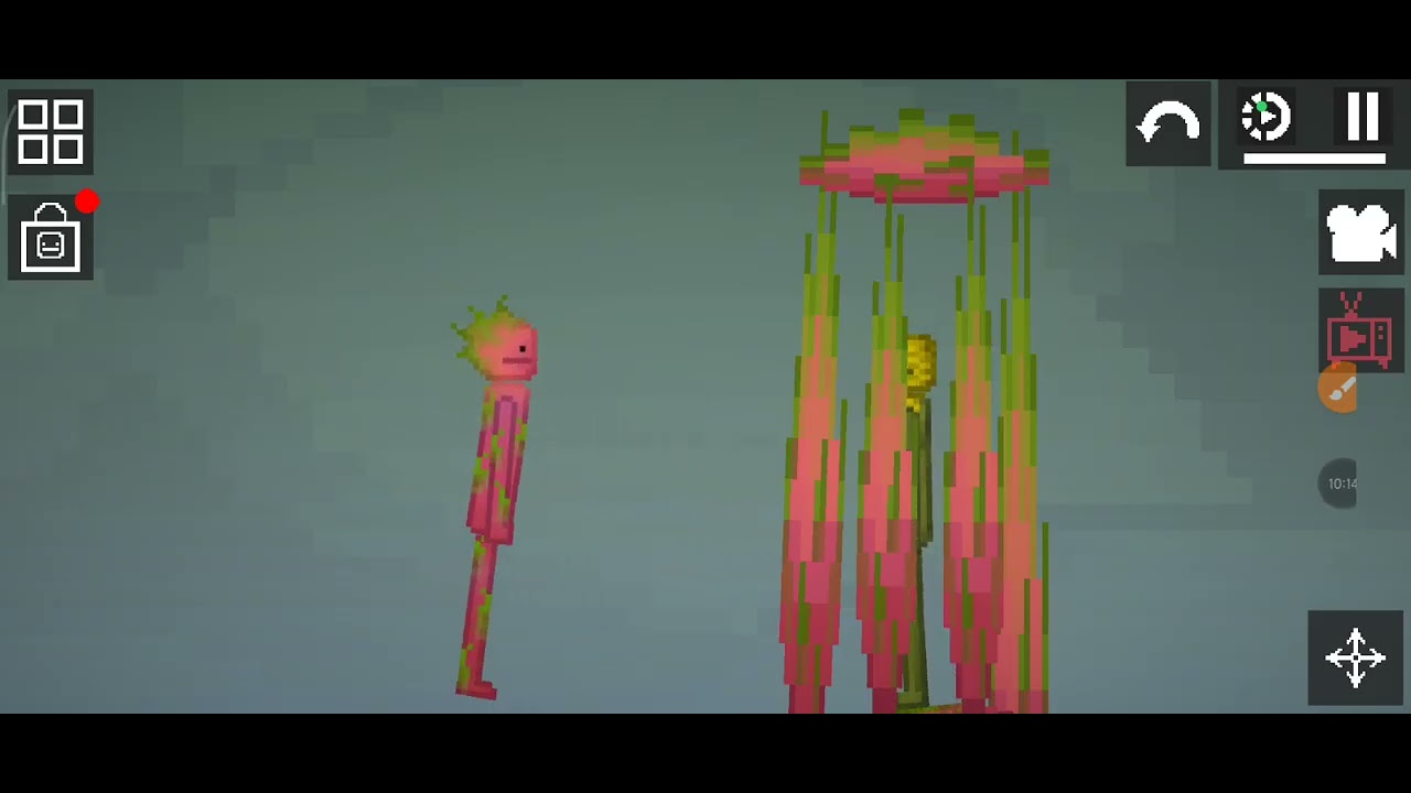 O cacto virou a planta mais forte do mundo que a Lorena vai aparecer em um novo vídeo