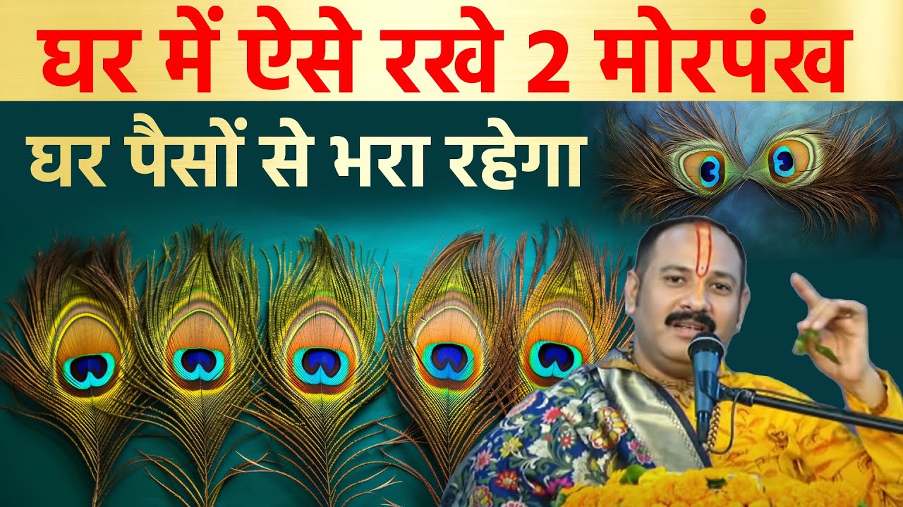 घर में ऐसे रख देना 2 मोर पंख घर पैसों से भरा रहेगा | Vastu tips Mor pankh