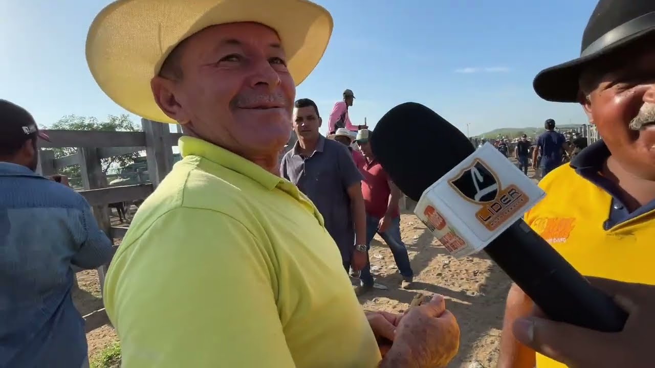 Feira de Gado em Dois Riachos - AL 25 - 02 - 2026 #nordeste 
