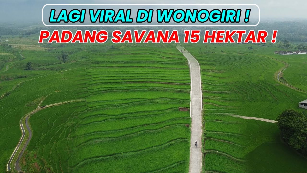 VIRAL ! PUNTHUK INI JADI VIEW ALAM TERBAIK ADA DI WONOGIRI