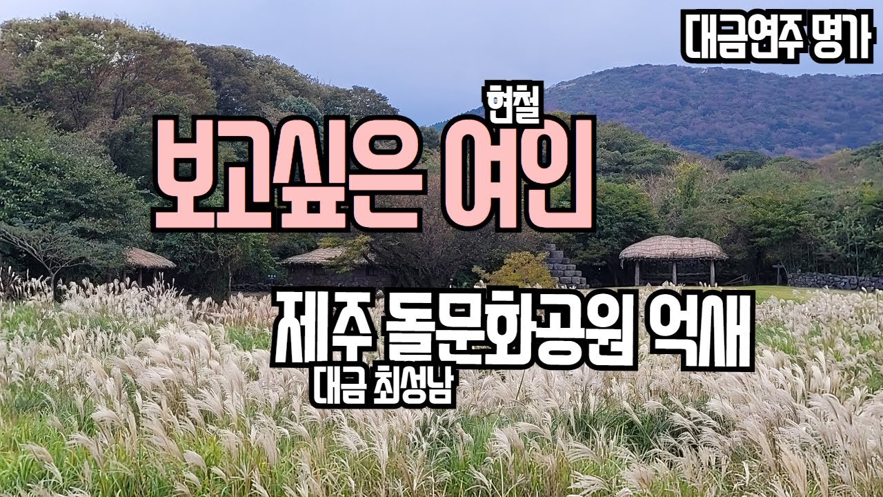 보고싶은 여인(현철)/최성남대금가요/ *구독하신 분들! 알림설정도 부탁드릴께요*