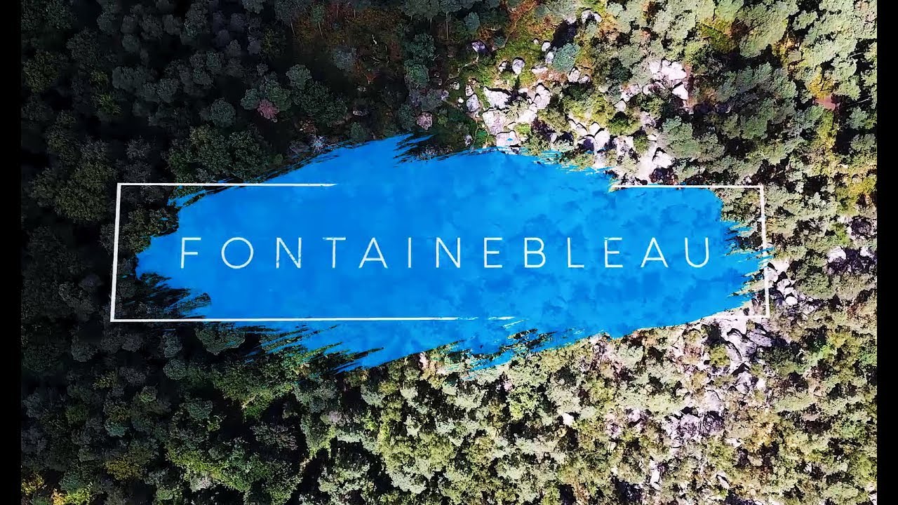 Fontainebleau | Enjoy Bouldering in the Summer (Bas Cuvier, Petit Bois, 91.1)