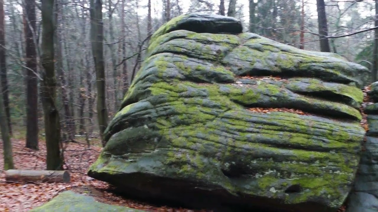 Rezerwat Skałki Piekło pod Niekłaniem (4K)