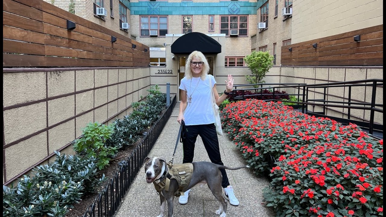 New York City LIVE Walking Flatiron District of Manhattan in NYC w/Hudson the Dog October 12 , 2023