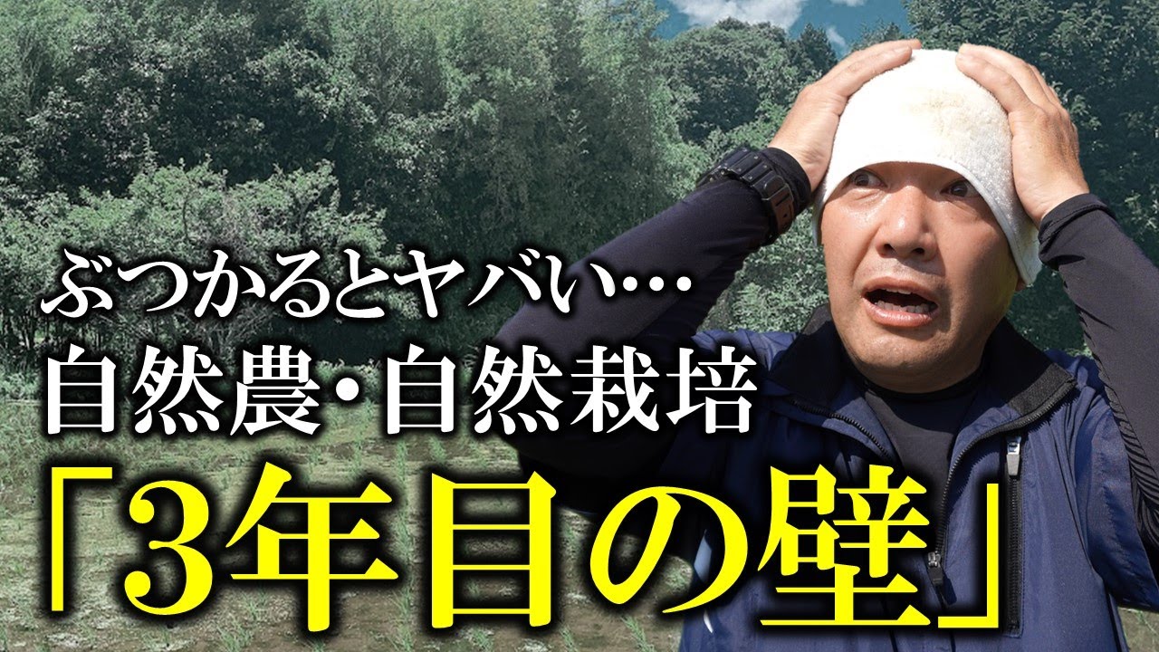 【ほとんどの人が挫折する】自然農・自然栽培３年目の落とし穴