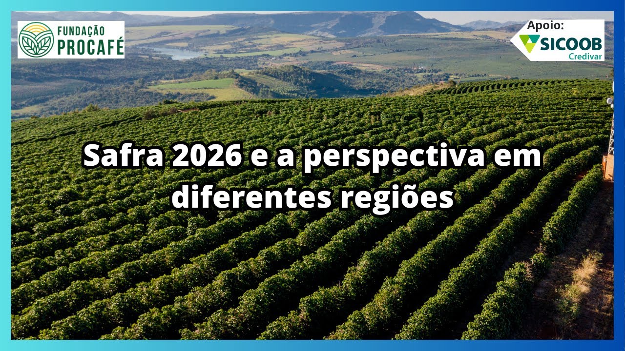 Podcast #194 - Safra 2026 e a perspectiva em diferentes regiões
