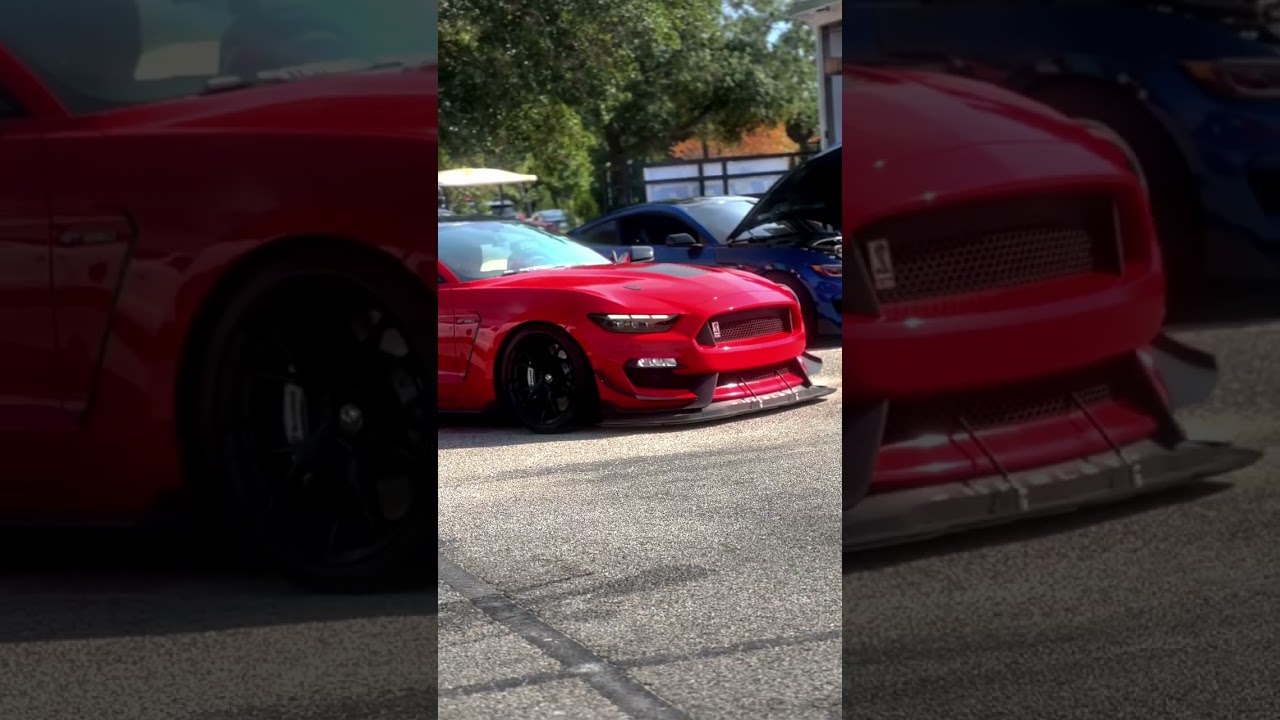 Mustang Week 🐍🏎️ #shorts