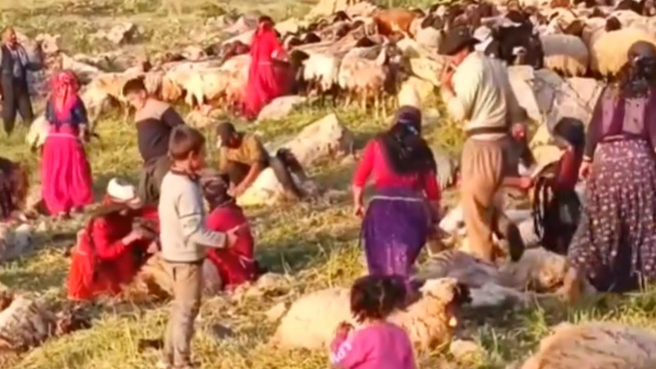 "Life Between Two Worlds: Nomads and Modern Culture"