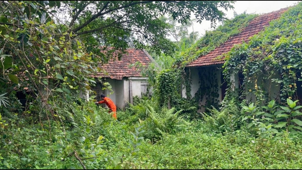 Cleaning and Organizing an Old House to Make It Useful Again