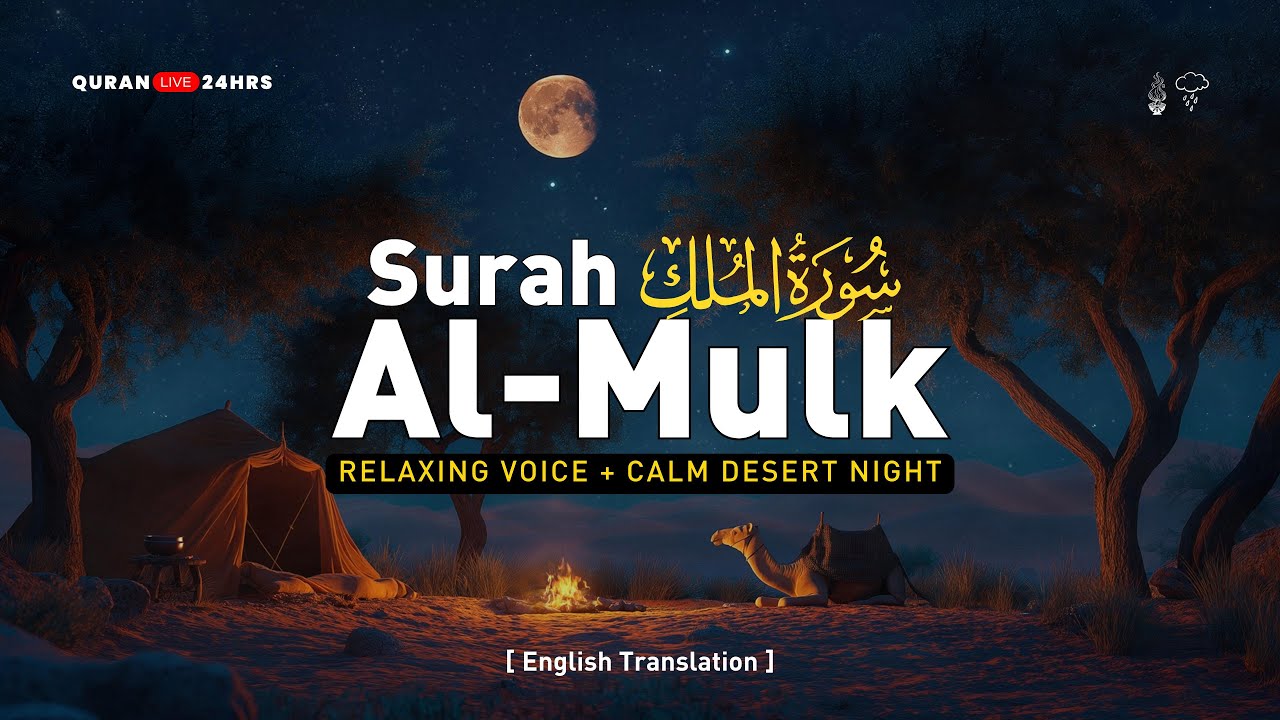 Most beautiful recitation of Surah Mulk سورة الملك | Lofi Quran style | QuranLive24hrs